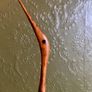 Mid century wooden bird Image 2