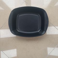 Roasting Dish