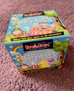 Brain Box The fairy Door
