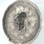 Rare and very special 1900s Art Nouveau Pewter bas relief plaque Image 5