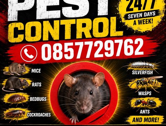 pest control mice rats ants wasps birds