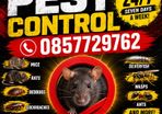 pest control mice rats ants wasps birds