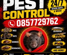 pest control mice rats ants wasps birds
