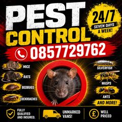 pest control mice rats ants wasps birds