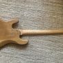 Sx Stingray bass Image 2