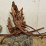 Terrarium Wood Image 3