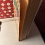 non fiction the most distressful country Robert kee Image 3