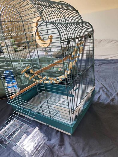 New Parrot/bird Cage Starter Kit + Tons of Accessories