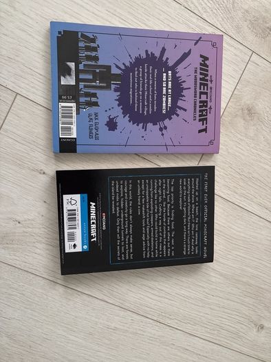Minecraft Books x 2