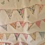Beautiful Bunting Image 2