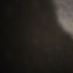 craig.moriarty.15