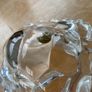 crystal turtle Image 4