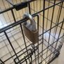 dog crate with mattress Image 5