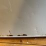 free - belling freezer Image 3