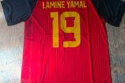 Spain football jersey adults L,XL