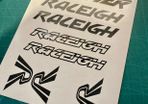 Raleigh Burner Decals