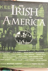 The Irish in America