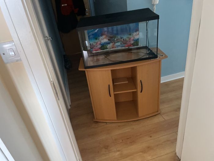 fish