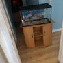 fish Image 2