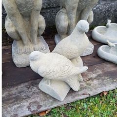 Log Pigeons EG046