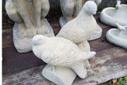 Log Pigeons EG046