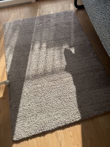 rug