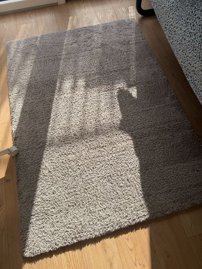 rug