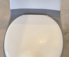 Nuby potty toilet