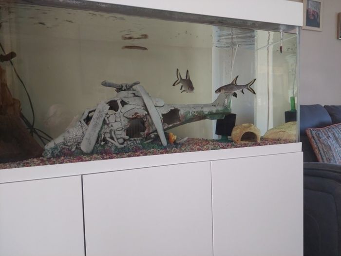 fish tank ornament