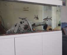 fish tank ornament