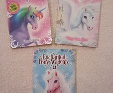 Enchanted Pony Academy-3 book set-used