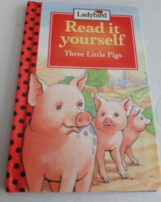 Vintage ladybird book