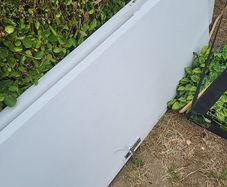 Free doors 2