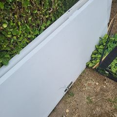 Free doors 2