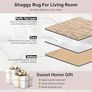 Fluffy Bedroom Rug Beige Large Area Rugs 160 by 230 cm for Living Room Lounge Plush Carpet Modern Soft Shaggy Pile Faux Fur Rug for Home Image 6