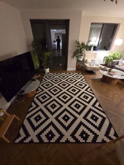 Ikea Rug