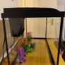 Interpet AquaPod 56L Aquarium, CF1 Filter & Extras Image 2