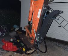 oriel tree shear