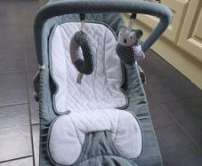 Baby bouncer