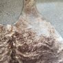 Cow hide rug Image 4