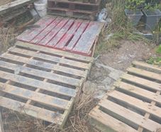 10 Pallets
