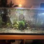 fish tank Image 3