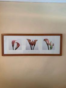 Wall Picture