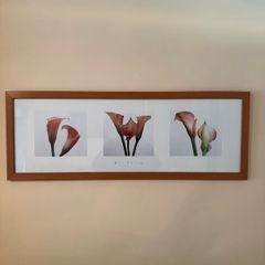 Wall Picture