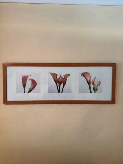 Wall Picture