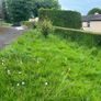 grass cutting Image 3