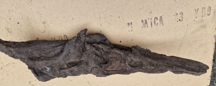 Collection of 4 Ancient Irish Bog Oak Pieces