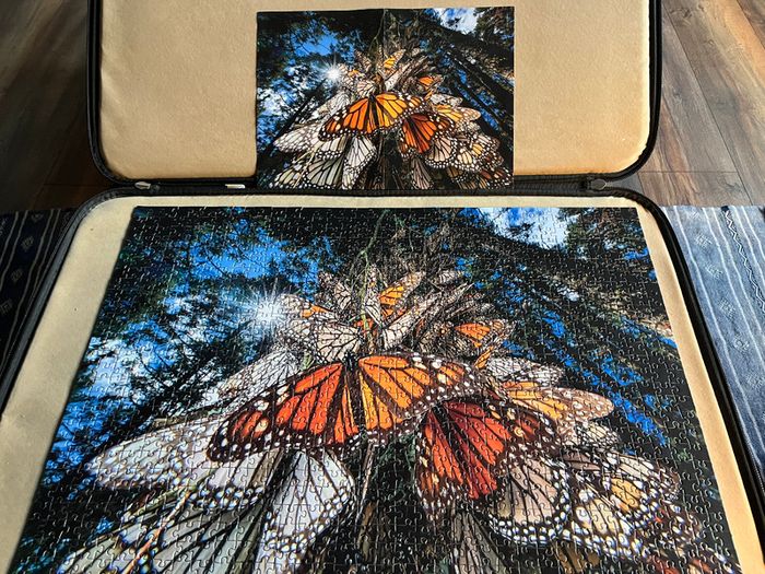 Puzzle 1000