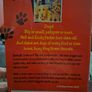 Jenny Dale. The Puppy Project, Big Ben, Best of Friends, Milly's Triumph, Charlie's Choice Image 6