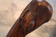 walking stick